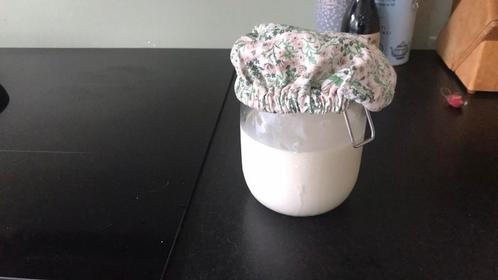 50 gram Kefirkorrels ~maak zelf je probiotica, Diversen, Levensmiddelen, Ophalen