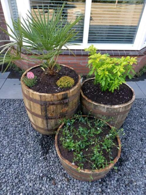 Eikenhouten bloembakken - wijn/whiskyvaten - Tuindecoratie, Tuin en Terras, Bloembakken en Plantenbakken, Nieuw, Hout, Binnen