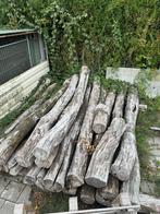 Acacia stammen, Tuin en Terras, Planten | Bomen, Ophalen, Bloeit niet, Overige soorten, 250 tot 400 cm