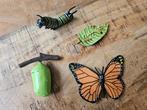 Rups tot Vlinder Figuren Set, Ophalen of Verzenden, Nieuw
