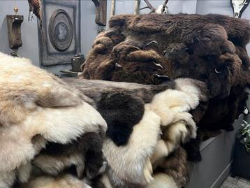 Schapenvacht vachten schaap top kwaliteit beschikbaar voor biedingen