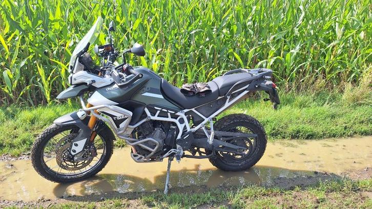 Triumph Tiger 900 Rally Pro (khaki green) incl. zijkoffers, Motoren, Motoren | Triumph, Particulier, Toermotor, meer dan 35 kW