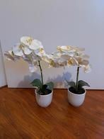 2 potjes met witte kunst orchideeën, Ophalen, Zo goed als nieuw, Binnen