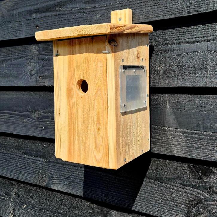 Nestkast met Camera WiFi Vogelhuis Mezenkast, Tuin en Terras, Vogelhuisjes en Vogelbaden, Nieuw, Ophalen of Verzenden