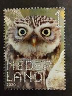 3831 steenuil 2020 beleef de natuur boerenlandvogels, Ophalen of Verzenden