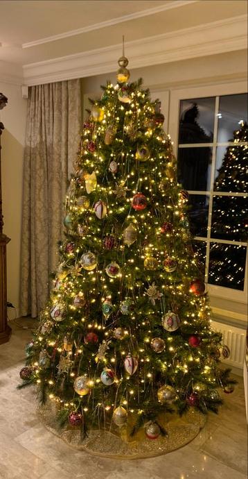 Kerstboom beschikbaar voor biedingen