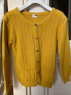 Name it vest maat 146/152, Ophalen of Verzenden, Zo goed als nieuw, Meisje, Trui of Vest