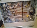 Mooie vogel kooi vogelkooi voilere, Ophalen of Verzenden, Zo goed als nieuw, Hout, Vogelkooi
