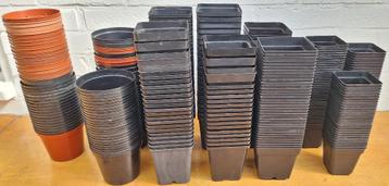 Partij kweekpotjes beschikbaar voor biedingen