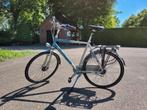 Gazelle Punta – Bike for Tall Person (6'3"+ / 190 cm+), Ophalen, Gebruikt, Gazelle