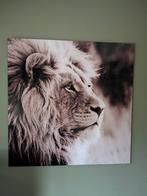 Schilderij Leeuw op Glas, Huis en Inrichting, Woonaccessoires | Schilderijen, Tekeningen en Foto's, Ophalen, Zo goed als nieuw