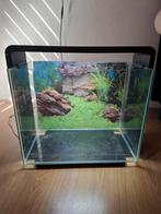 Superfish home 40 T.E.A.B !, Dieren en Toebehoren, Vissen | Aquaria en Toebehoren, Ophalen, Gebruikt, Leeg aquarium