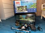 Aquarium, Dieren en Toebehoren, Ophalen of Verzenden, Zo goed als nieuw, Leeg aquarium