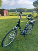Sparta ion M8i elektrische fiets – framemaat D53, Ophalen, Sparta, Zo goed als nieuw, 51 tot 55 cm