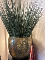 Nep plant met gouden vaas, Ophalen, Nieuw, Binnen