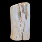 versteend hout vrije vorm, Ophalen of Verzenden