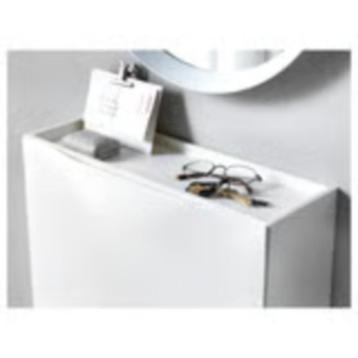 Thrones (IKEA) schoenenkastjes beschikbaar voor biedingen