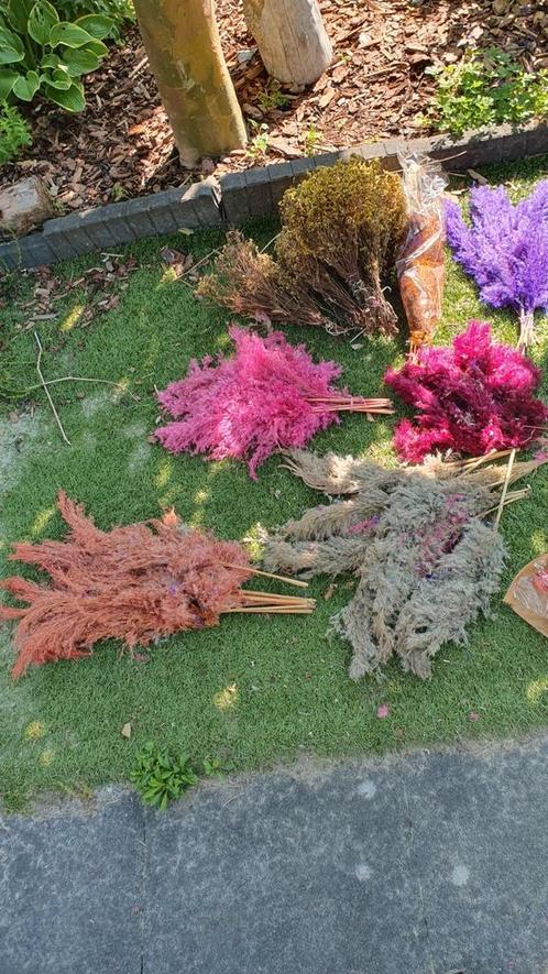 Gekleurd droogbloemen pampas pluimen, Huis en Inrichting, Woonaccessoires | Droogbloemen, Zo goed als nieuw, Ophalen of Verzenden