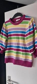 Mooie trui met strepen van fabienne chapot, Kleding | Dames, Truien en Vesten, Ophalen of Verzenden, Zo goed als nieuw