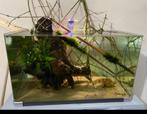 Aquarium, Dieren en Toebehoren, Ophalen, Gebruikt, Leeg aquarium