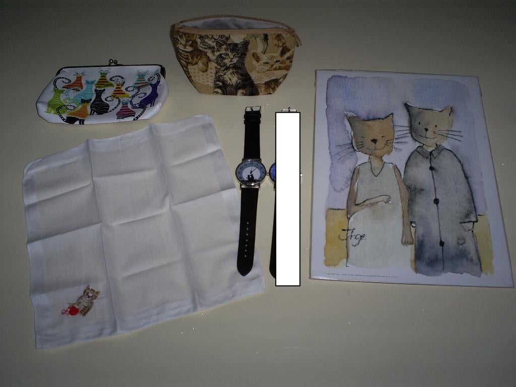 Poezen zakdoek horloge illustratie etui. Nieuw, Ophalen of Verzenden, Nieuw