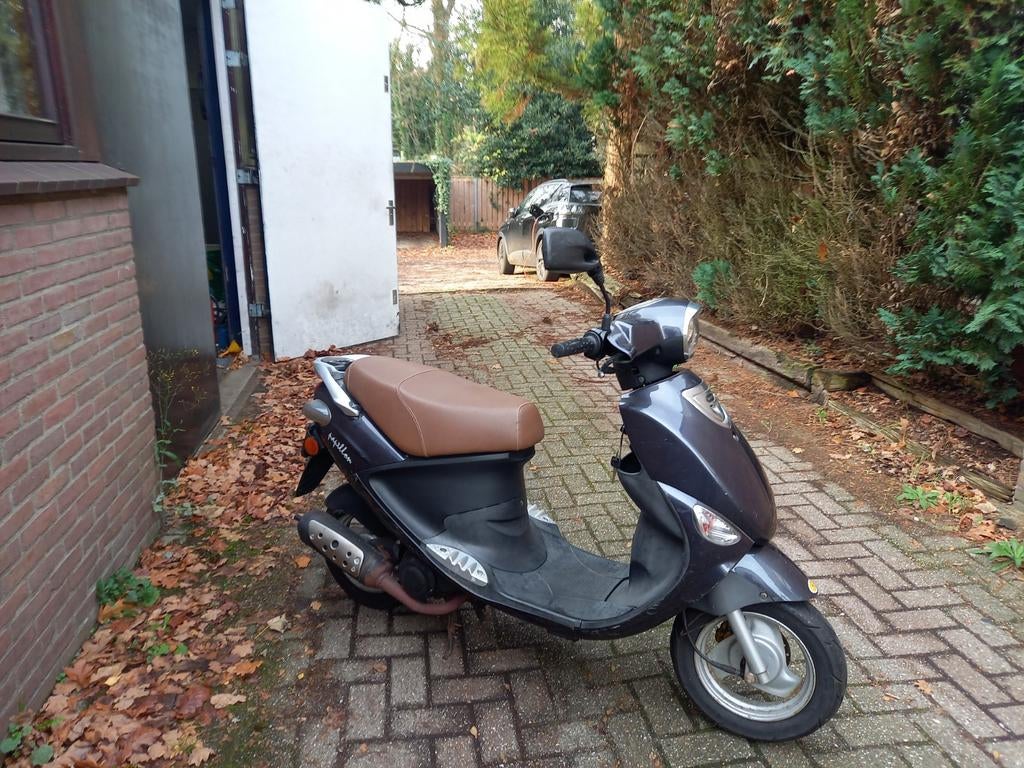 Koopje, Beeline Papillon 2 takt(Sym mio look) snorscooter, Gebruikt, Www.scooterapeldoorn.nl, Vlijtseweg 17-2 APELDOORN, Benzine