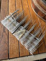 Duiven pinnen, Dieren en Toebehoren, Meerdere dieren, Overige soorten