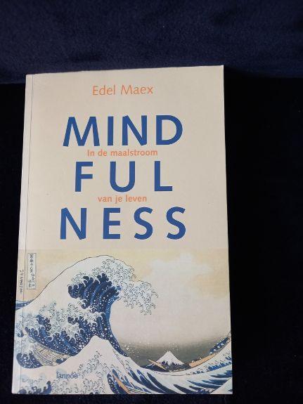 Mindfulness: Edel Maex, Ophalen of Verzenden, Zo goed als nieuw, Overige onderwerpen, Achtergrond en Informatie