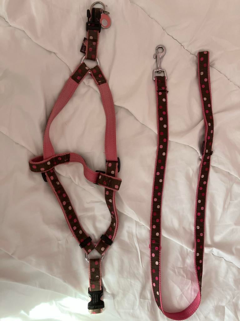 Honden tuigje en riem voor middenslag hond, Ophalen of Verzenden, Zo goed als nieuw