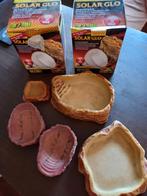 Terrarium toebehoren ,lampen baardagaam ,solar glo, Dieren en Toebehoren, Ophalen