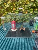 Dennerle Nano Cube 36 liter – compleet met accessoires, Ophalen, Gebruikt, Leeg aquarium