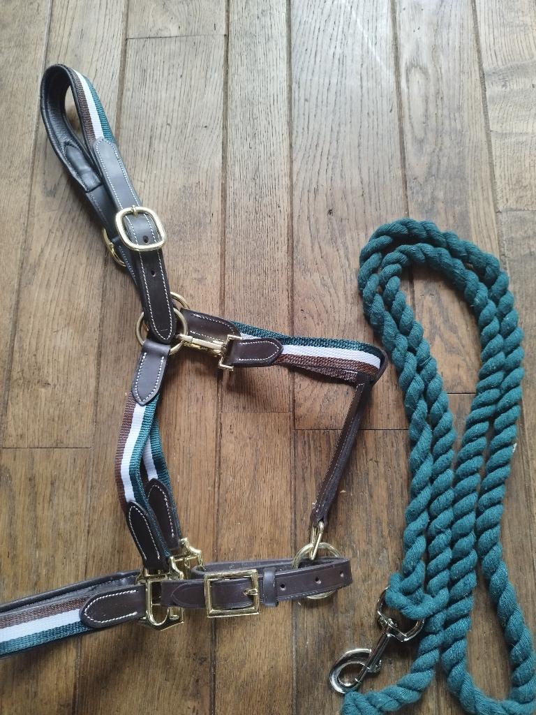 halsters, Ophalen of Verzenden, Nieuw, Dressuur