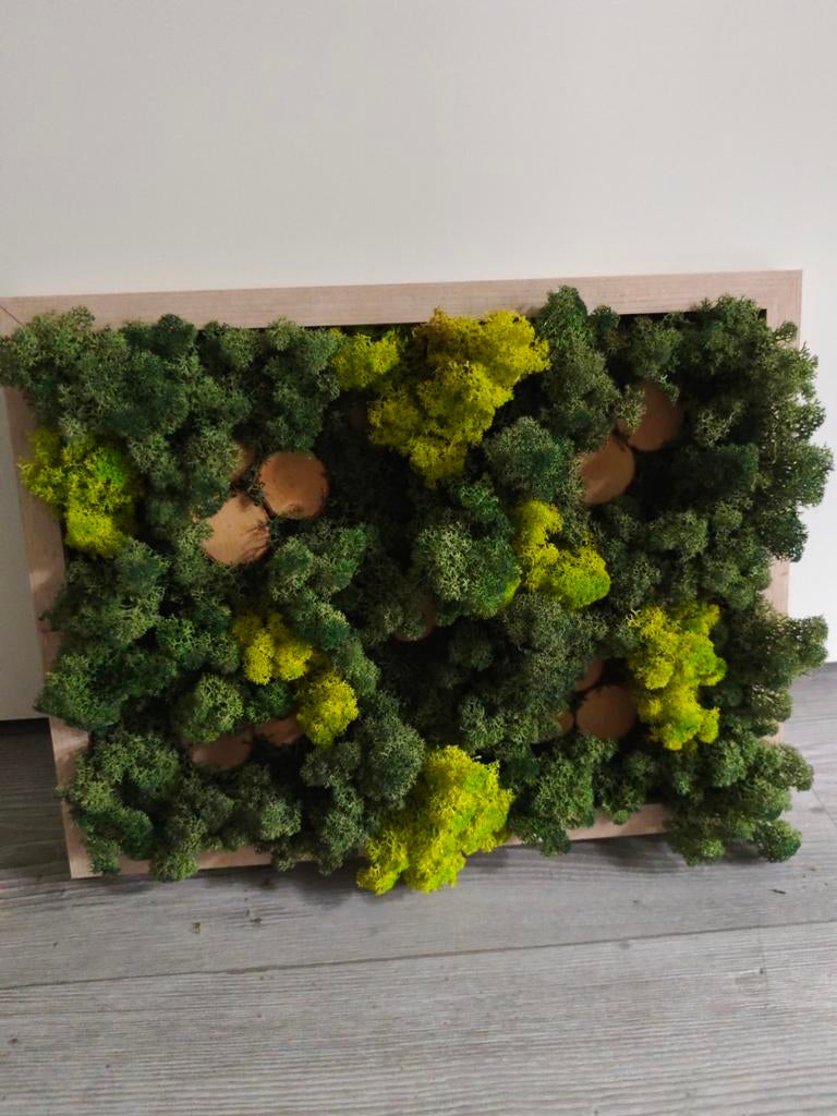 Mooie mos wanddecoratie met houten accenten, Ophalen of Verzenden, Nieuw