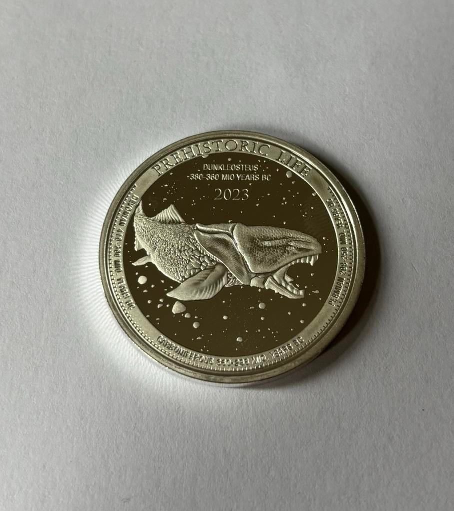 Zilveren 1 oz munt, Verzenden, Overige landen, Losse munt, Zilver