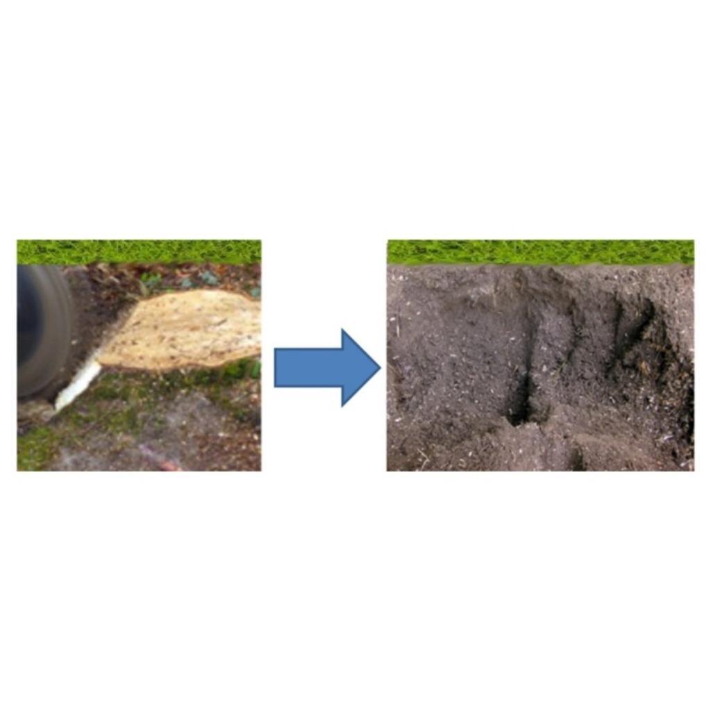 stronkenfrees, Ophalen of Verzenden, Overige soorten