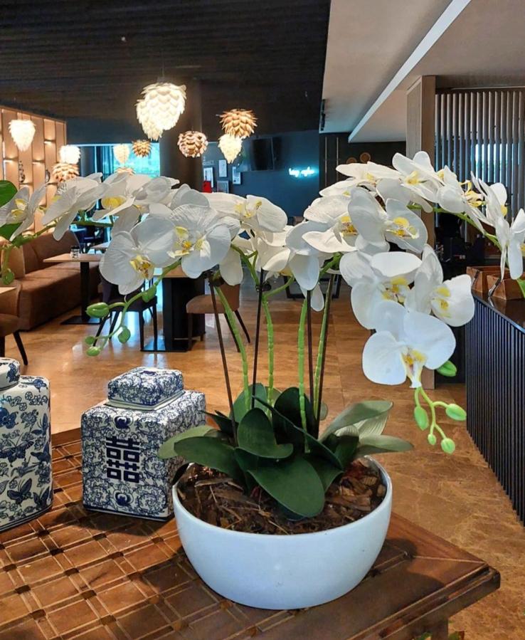 Witte kunst orchideeën, Ophalen, Binnen, Gebruikt, Kunstbloem