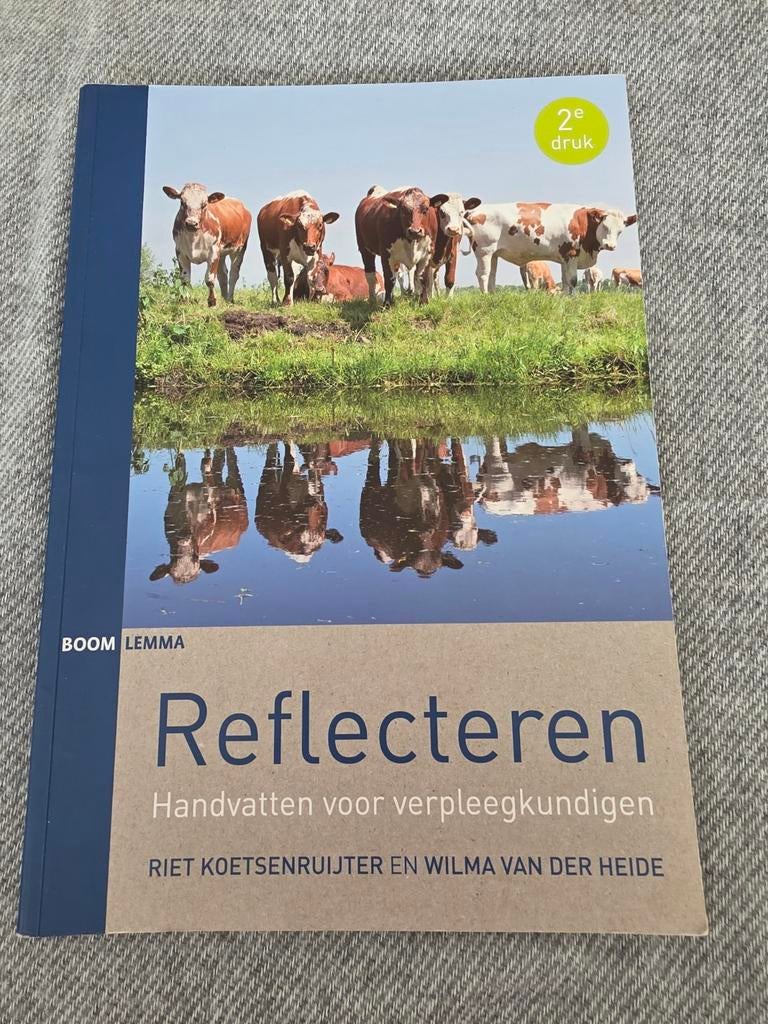 Wilma van der Heide - Reflecteren, Boeken, Sociale wetenschap, Wilma van der Heide; Riet Koetsenruijter, Ophalen of Verzenden