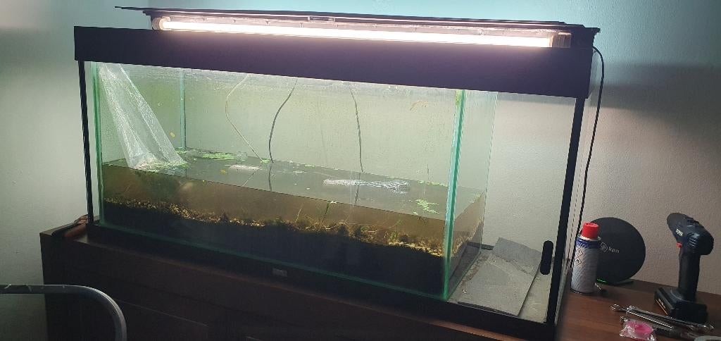2 aquariums ophalen voor 10 euro vandaag, Dieren en Toebehoren, Vissen | Aquariumvissen, Overige typen