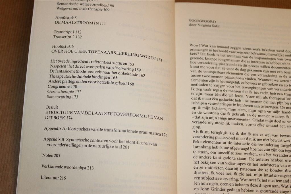 Structuur van de Magie — Een Boek over Taal en Therapie, Boeken, Ophalen of Verzenden, Gelezen, Overige onderwerpen, Achtergrond en Informatie