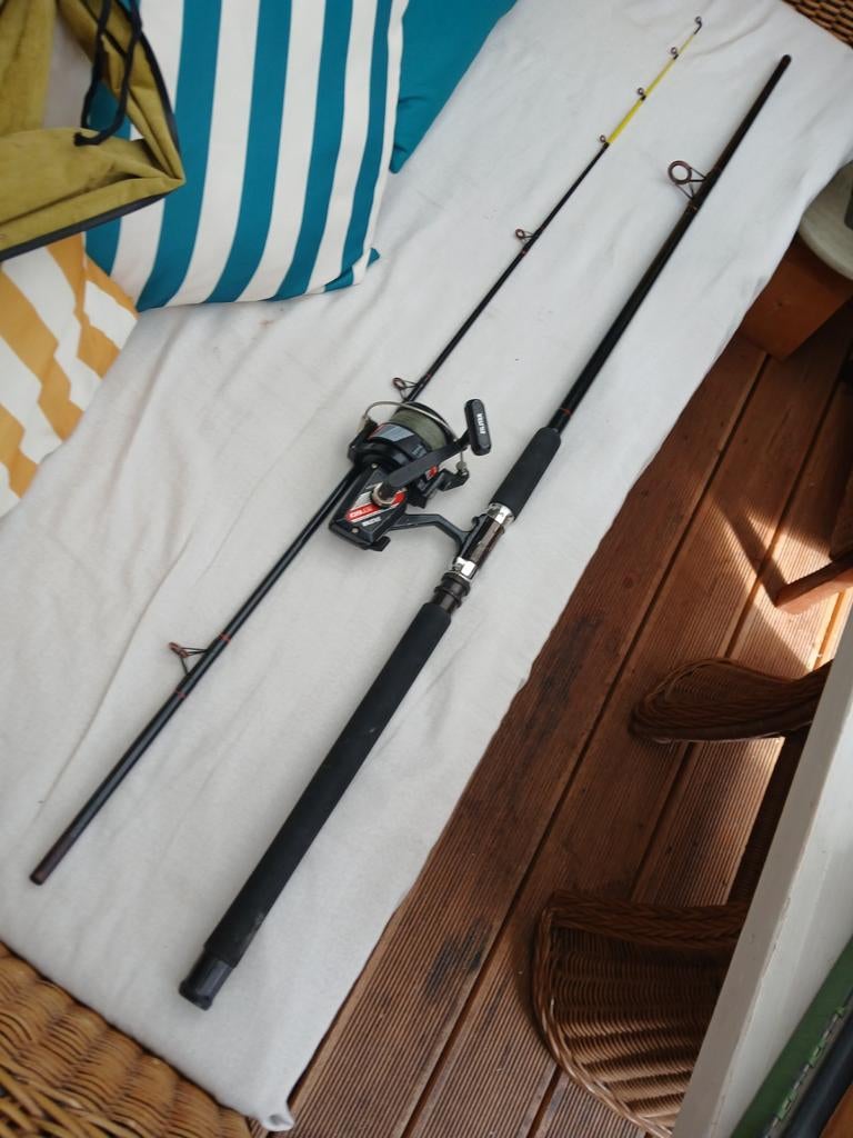 Zeevissen zeevis hengel zeehengel Silstar met molen, Ophalen of Verzenden, Gebruikt, Molen