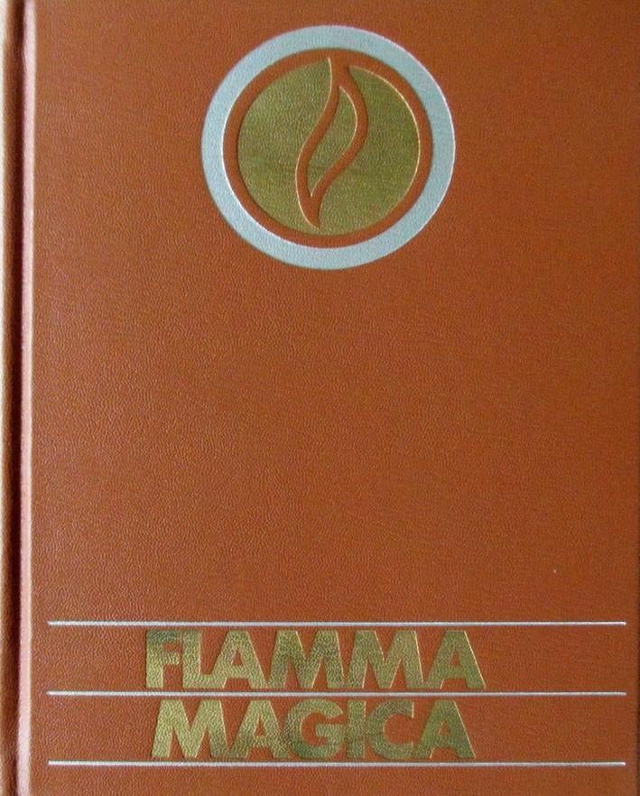 Flamma Magica. Schitterend fotoboek (kleur), Ophalen of Verzenden, Zo goed als nieuw, Fotografen