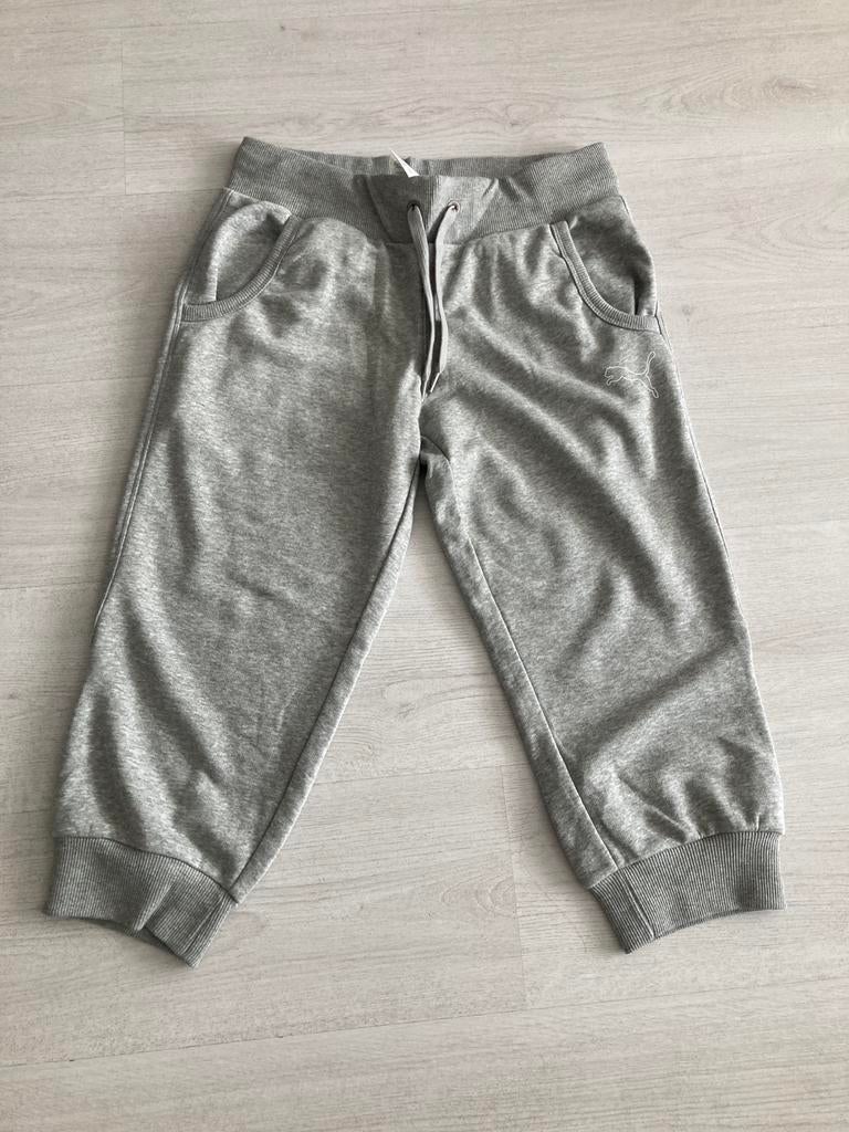 Puma joggingbroek grijs 3/4 maat M (US), Kleding | Dames, Sportkleding, Maat 38/40 (M), Puma, Overige typen, Nieuw