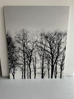 FRYSLÂN / 3-delige fotoserie / 2011 / UNIEKE SERIE, Ophalen