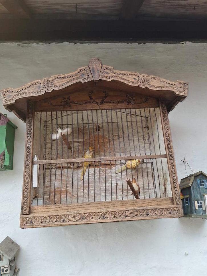 Antieke Houten Vogelkooi, Antiek en Kunst, Antiek | Woonaccessoires, Ophalen of Verzenden