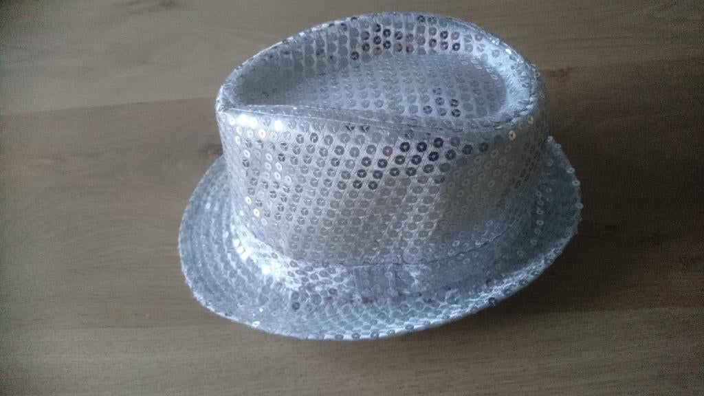 Glitter hoedje Zilver Carnaval Toppers Feestje pailletjes, Ophalen of Verzenden, Zo goed als nieuw, Hoed of Pruik, Carnaval
