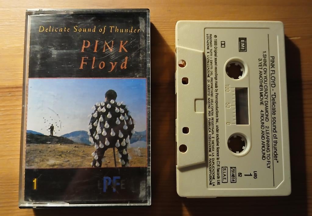 Pink Floyd - Delicate Sound Of Thunder (2 cassettes), Gebruikt, 2 t/m 25 bandjes, Ophalen of Verzenden, Origineel