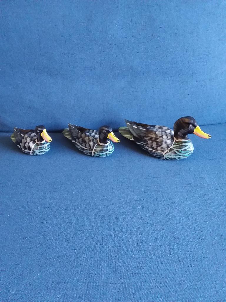 Eenden handgeschilderd uit Bali, Ophalen of Verzenden, Dier