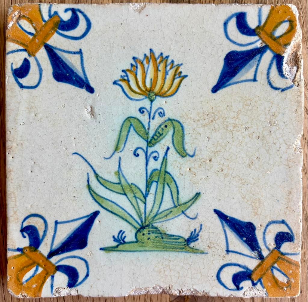 Mooie tegel met tulp 17e eeuw, Antiek en Kunst, Antiek | Wandborden en Tegels, Ophalen of Verzenden