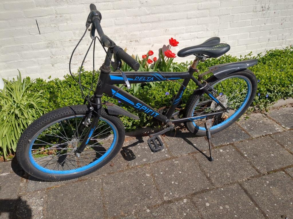 MountainBike delta spirit 22 ich, Ophalen, Gebruikt, Staal, 24 inch of meer