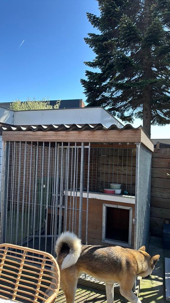 Golfplaten 3 stuks (teab), Ophalen, Gebruikt, 110 cm of meer, 100 cm of meer